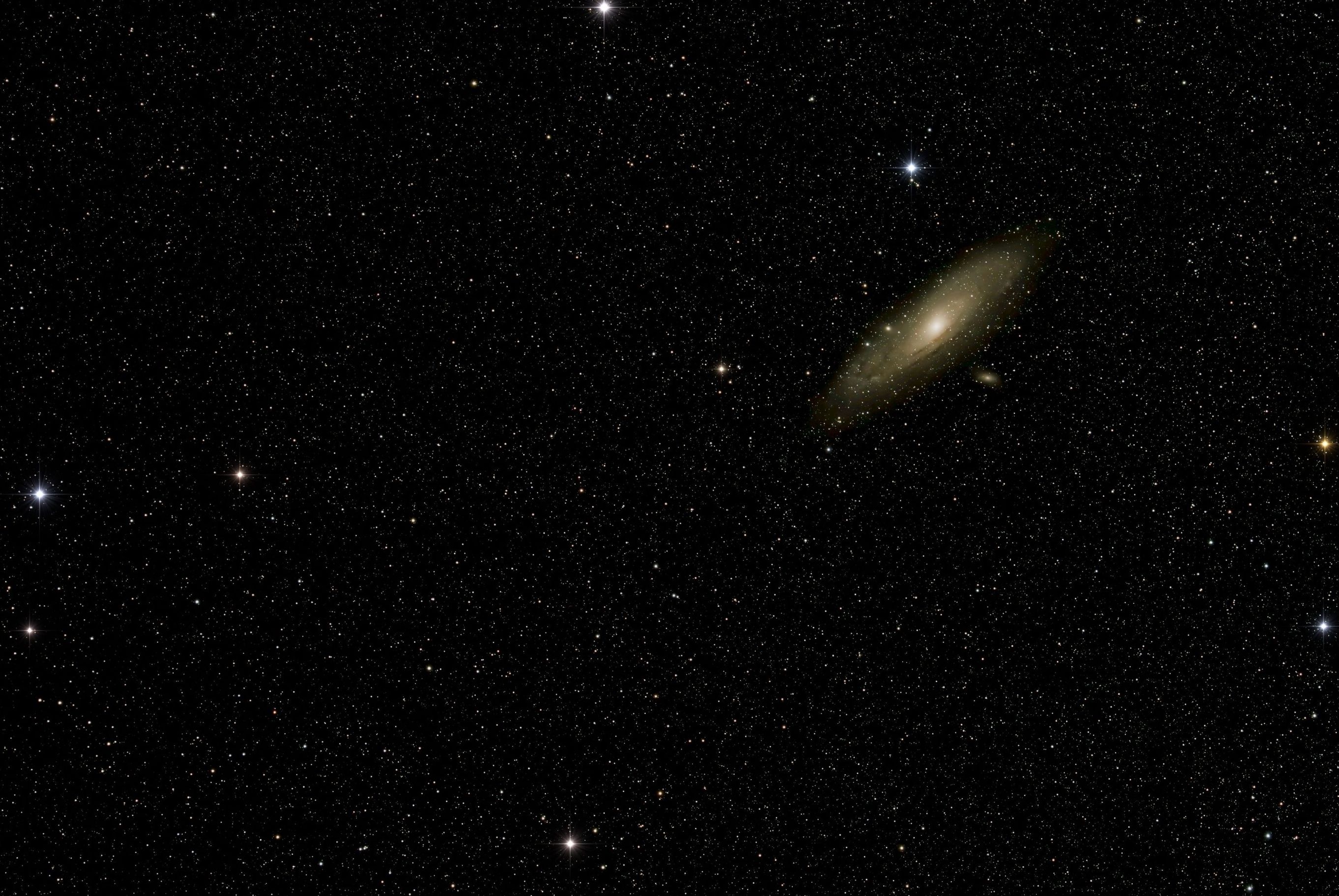 Wide Field Andromeda